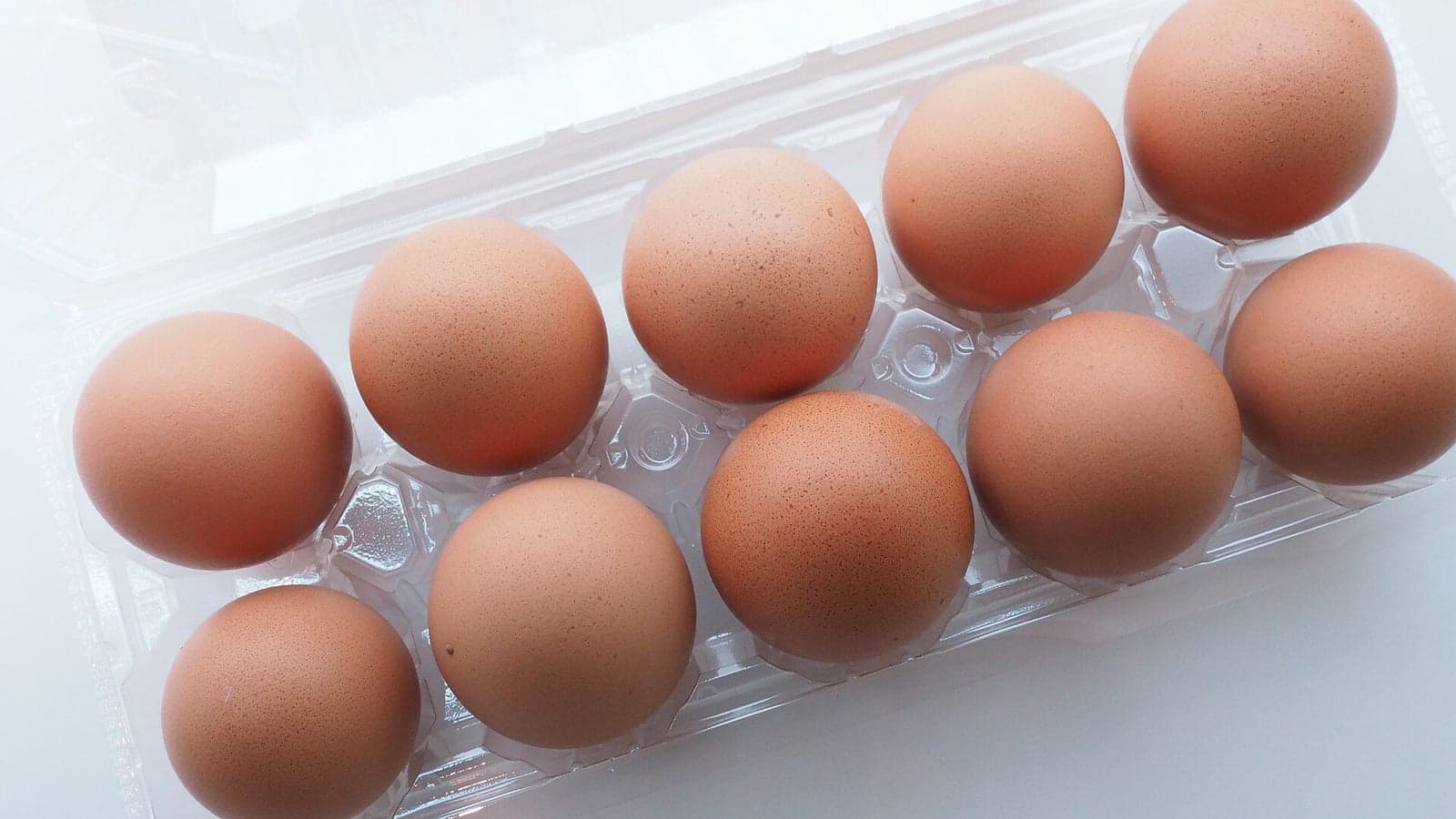 An Eggcelent Question, Arachin 27