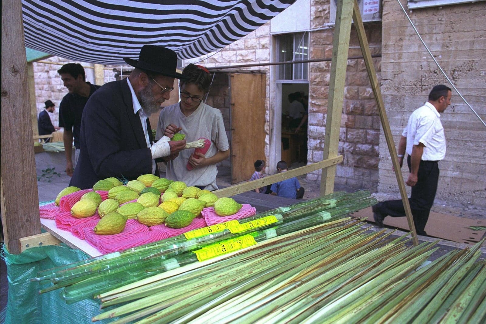 Don’t Despair, Rosh Hashanah 30a