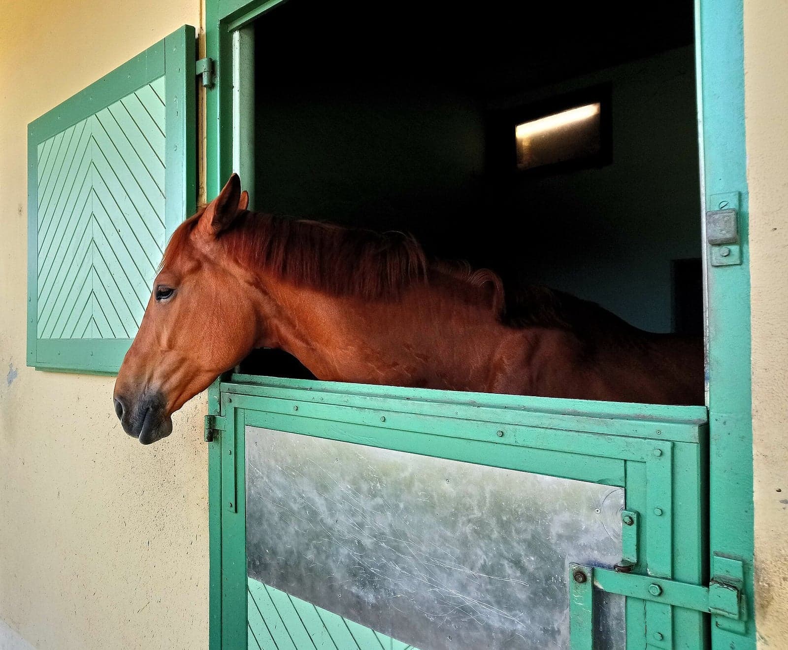 Horsing Around, Avodah Zarah 14b