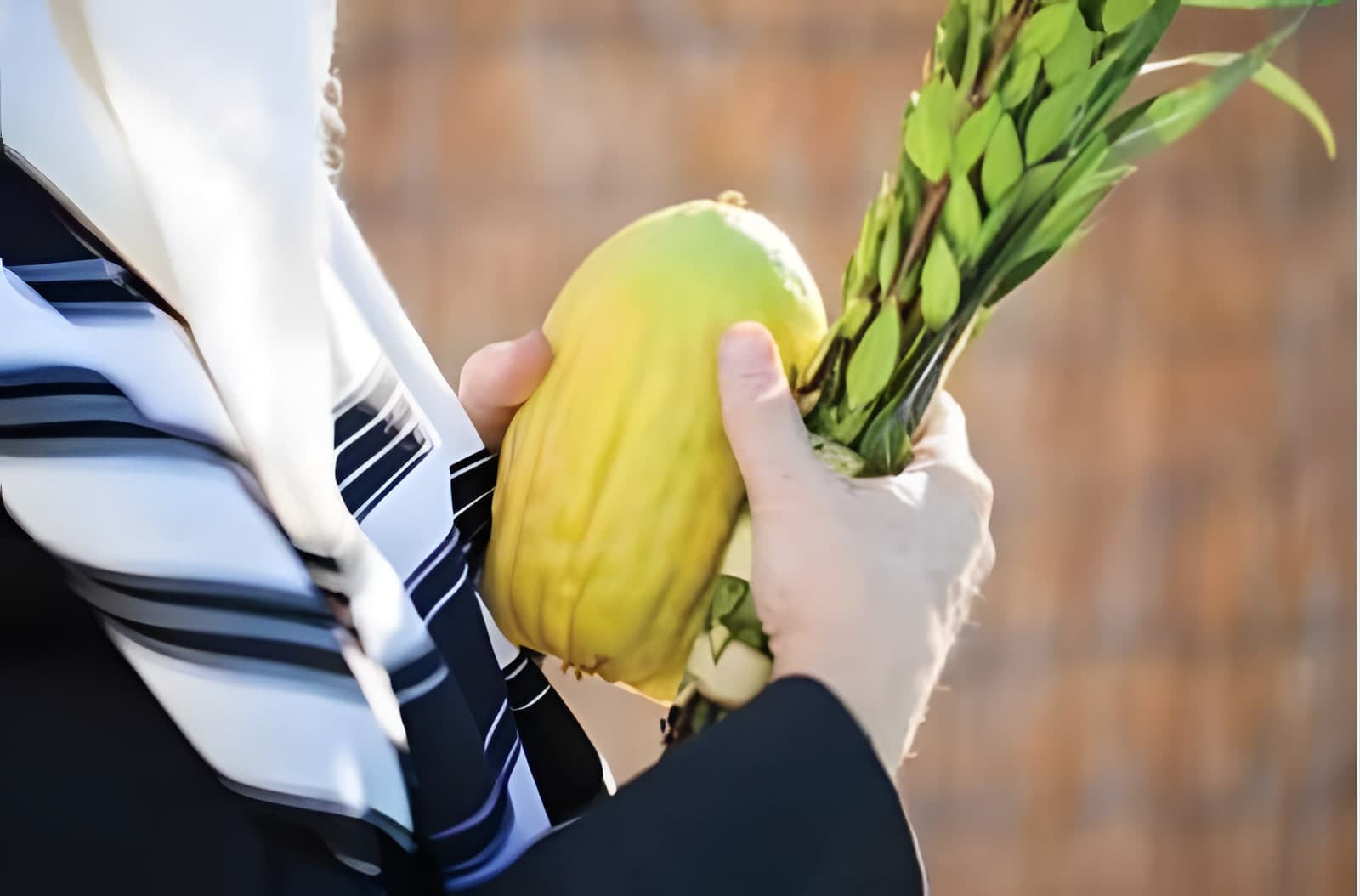 Takana Considerations, Rosh Hashanah 30a
